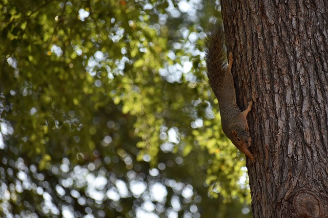 澳網︱祖高域梅利聯手第一擊幾乎出事　19歲對手背後藏驚人巧合.