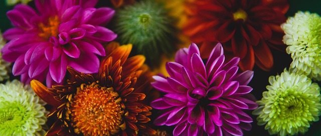 火箭不敌爵士！阿门杰夫齐爆，申京格林起伏，2锋线+防守全崩！.